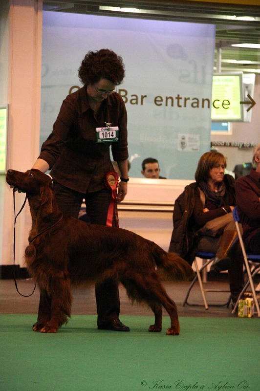 Crufts2011_2 143.jpg